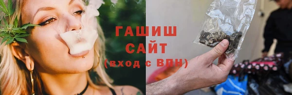 прущие грибы Абинск