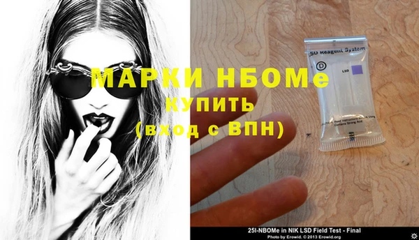 прущие грибы Абинск