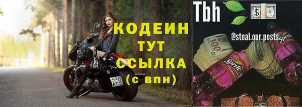 прущие грибы Абинск